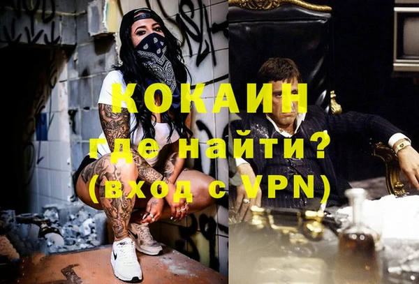 ГАЛЛЮЦИНОГЕННЫЕ ГРИБЫ Белокуриха