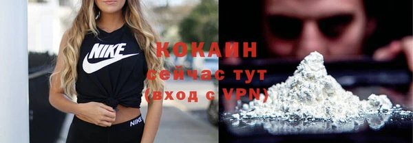 гашик Белоозёрский
