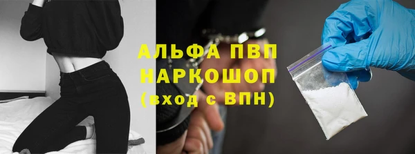 ГАЛЛЮЦИНОГЕННЫЕ ГРИБЫ Белокуриха