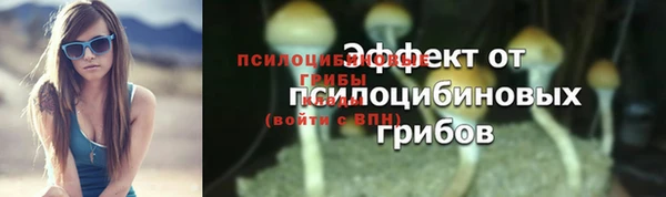 гашик Белоозёрский