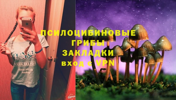 ГАЛЛЮЦИНОГЕННЫЕ ГРИБЫ Белокуриха
