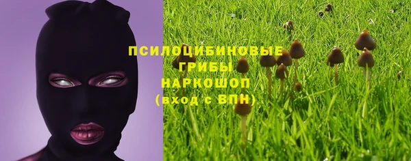 ГАЛЛЮЦИНОГЕННЫЕ ГРИБЫ Белокуриха
