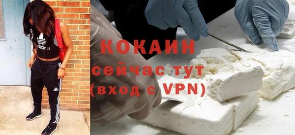 ГАЛЛЮЦИНОГЕННЫЕ ГРИБЫ Белокуриха