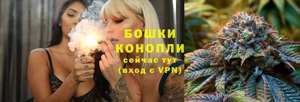 ГАЛЛЮЦИНОГЕННЫЕ ГРИБЫ Белокуриха