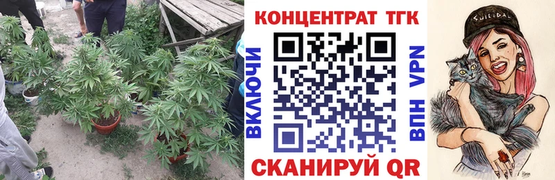 купить наркоту  Шелехов  Дистиллят ТГК THC oil 